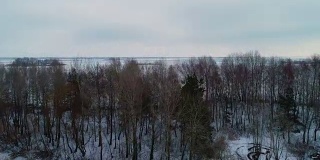 阿拉尔铝合金无人机的画面。在冰冻的湖面上飞过树木