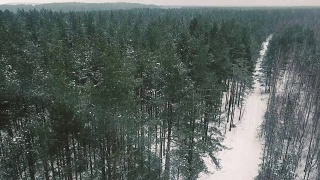 鸟瞰图冰雪覆盖的滑雪道在冬季森林。冬季森林顶视图。Down-up片段。梳理下大雪视频素材模板下载