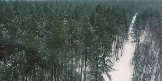 鸟瞰图冰雪覆盖的滑雪道在冬季森林。冬季森林顶视图。Down-up片段。梳理下大雪