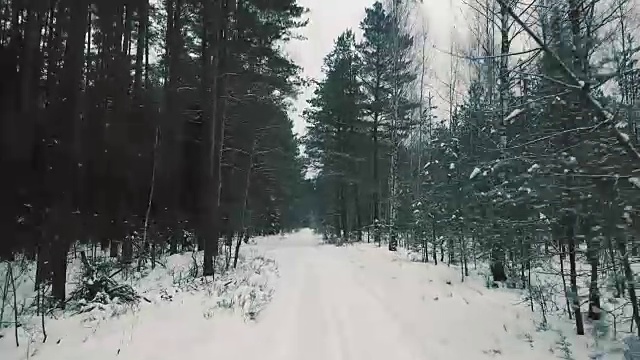 鸟瞰冬日森林中的积雪小径。镜头慢慢向前移动。冷杉是冬天的木材