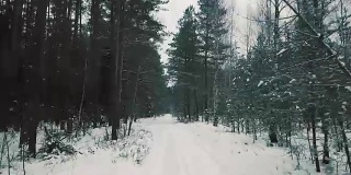 鸟瞰冬日森林中的积雪小径。镜头慢慢向前移动。冷杉是冬天的木材