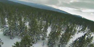 冬季无人机在森林和越野滑雪道上飞行