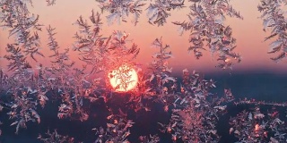 日出时玻璃上结霜