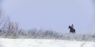美丽的长发女子骑着一匹棕色的马穿过森林里的深雪堆
