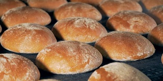 工业面包店的概念。圆面包刚刚做的面包离开烤箱在传送带上。