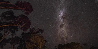 时间流逝的银河旋转上方的澳大利亚树