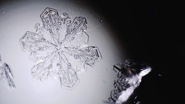 雪花在显微镜下融化