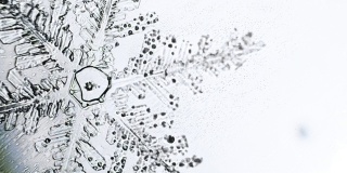 透明的雪花在显微镜下融化