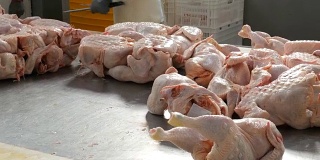 在食品加工厂的大桌子上放着许多鸡肉