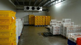 冷藏室和现成的产品在肉类加工厂视频素材模板下载