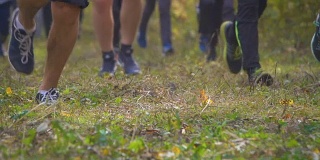 在日落时，双腿跑过秋天公园的特写。人们在森林里跑步穿越乡村。慢跑动机在绿色公园鼓舞人心的景观。在树林里跑马拉松。缓慢的运动。