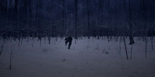 冬天人们在晚上跑过森林。