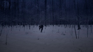 冬天人们在晚上跑过森林。视频素材模板下载