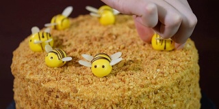 女孩装饰蜂蜜蛋糕蜜蜂