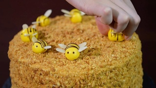 女孩装饰蜂蜜蛋糕蜜蜂视频素材模板下载