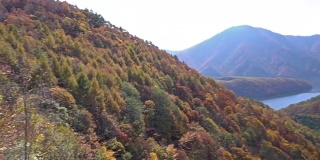 摇摄:日本福岛相珠松中津川桥与秋红叶林