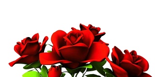 白色文字空间上的红玫瑰花束