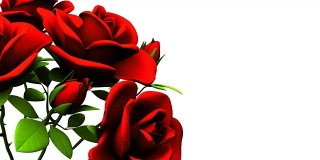白色文字空间上的红玫瑰花束
