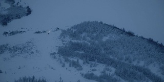 一辆雪地摩托正穿越森林，前往冰海