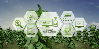 智慧农业智慧农业，六边形植物绿地信息图形图标，物联网。第四次工业革命。
