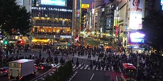 4K视频拍摄了东京市区人群与区域视野行人十字路口人行横道涉谷人行横道车流。日本，日本文化概念