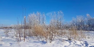 严冬的俄罗斯雪景，霜冻的日子