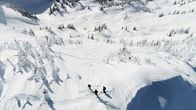 滑雪者在4k雪山上滑雪