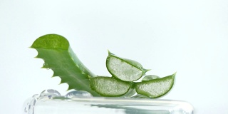 芦荟片植物水概念新鲜
