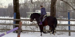 慢镜头:一位女骑师正骑在马上。它表演各种运动动作和跳跃。训练在一个特殊的小围场进行