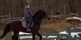 慢镜头:一位女骑师正骑在马上。它表演各种运动动作和跳跃。训练在一个特殊的小围场进行