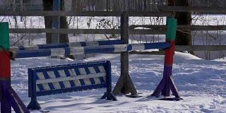 慢镜头:一个女孩骑着马疾驰。一匹马用绳子拖着一个滑雪者。滑雪者在雪堆中骑在滑雪板上。女骑师和男滑雪板运动员通过跳板进行跳跃。
