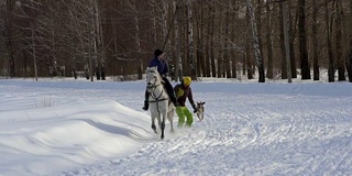 慢镜头:一个女孩骑着马疾驰。一匹马用绳子拖着一个滑雪者。滑雪者在雪堆中骑在滑雪板上。女子骑师和男子滑雪板训练成对。