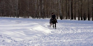 慢镜头:一个女孩骑着马疾驰。一匹马用绳子拖着一个滑雪者。滑雪者在雪堆中骑在滑雪板上。女子骑师和男子滑雪板训练成对。
