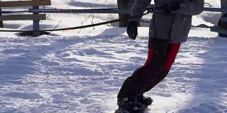 慢镜头:一个女孩骑着马疾驰。一匹马用绳子拖着一个滑雪者。滑雪者在雪堆中骑在滑雪板上。女子骑师和男子滑雪板训练成对。
