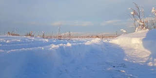 严冬的俄罗斯雪景，霜冻的日子