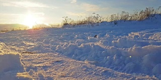 严冬的俄罗斯雪景，夕阳
