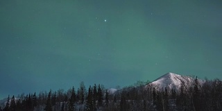 绿色北极光的时间流逝。雪山树冬夜。