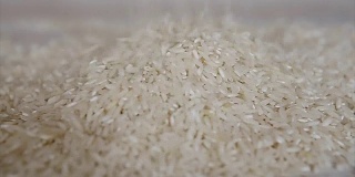 米饭靠近，b卷