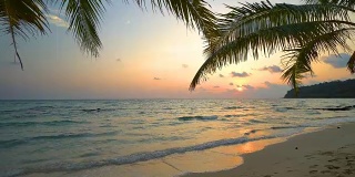 日落的海滩和海上椰子树
