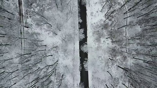 美丽的无人机拍摄的雪域森林道路与汽车