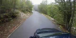 汽车行驶在林间的山路上