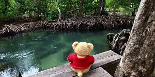 泰迪熊坐在天然运河附近的一座桥上。清澈的绿色溪流流过红树林的根部。在阴凉美丽的大自然中。