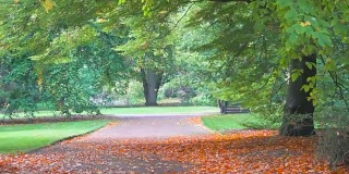 爱丁堡皇家植物园的秋季景观