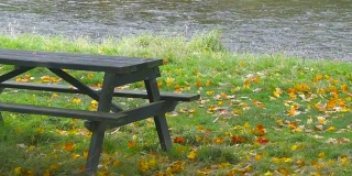 苏格兰秋天的树林长椅和美丽的河流