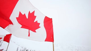 加拿大国旗迎风飘扬。视频素材模板下载