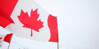 加拿大国旗迎风飘扬。
