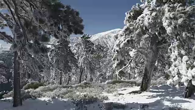 山上积雪的航拍镜头