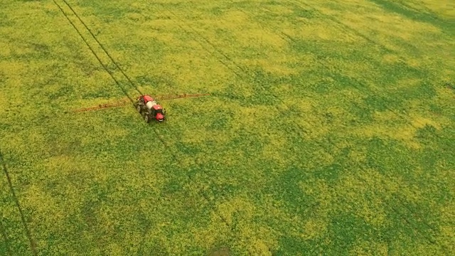 用油菜飞过田野。农业拖拉机喷洒夏季作物麦田