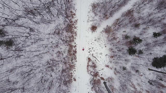 男子奔跑在白色冬季森林道路上，俯视图冬季无人机空中