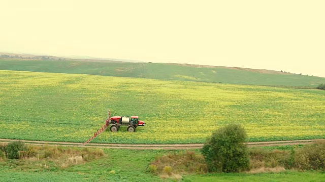 用油菜飞过田野。农用拖拉机喷洒夏季油菜田